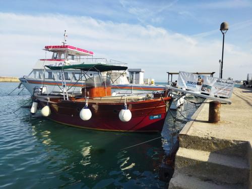 Gita in barca conero riviera ancona numana marche bellezze paesaggi aperitivo posto in barca prenota mare brezza vento onde navigare